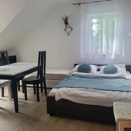 Alina Spanie * נישורזה