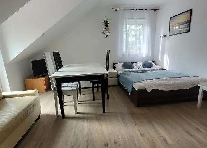 Guest house Alina Spanie *